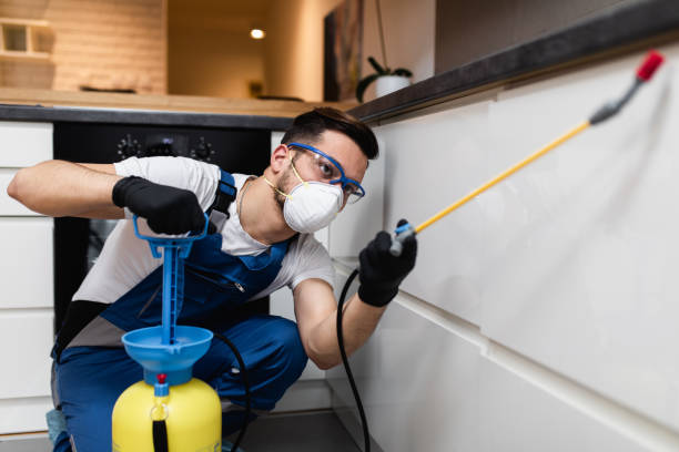 Best Cockroach Control Services  in Hinckley, IL
