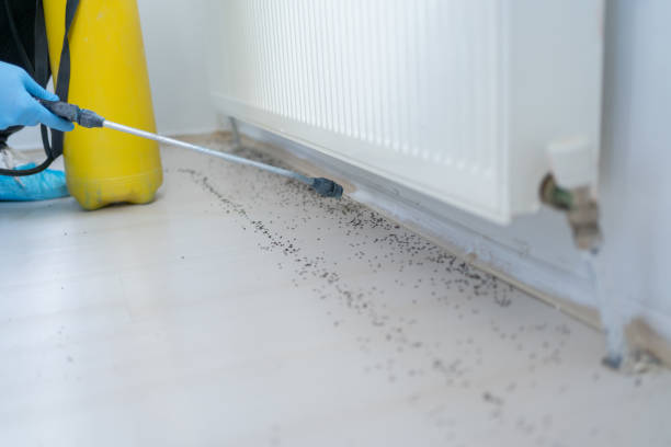 Best Commercial Pest Control Services  in Hinckley, IL