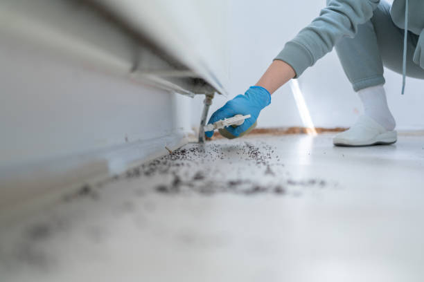Best Pest Control Near Me  in Hinckley, IL