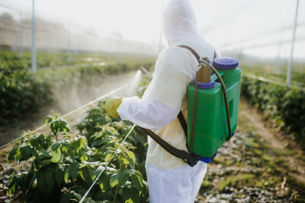 Best Pest Inspection Near Me  in Hinckley, IL